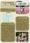 yamaguchiakiko_s